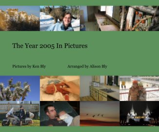 The Year 2005 In Pictures book cover