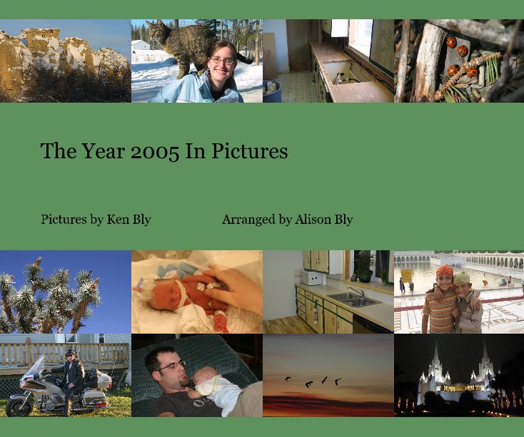 View The Year 2005 In Pictures by Pictures by Ken Bly Arranged by Alison Bly