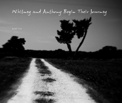 Whitney and Anthony Begin Their Journey book cover