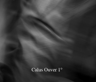 Calus Ouver 1° book cover