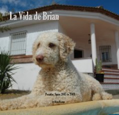 La Vida de Brian book cover