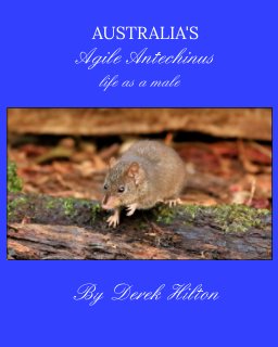 life as a Male Agile Antechinus book cover