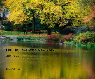 Fall, In Love With New York book cover