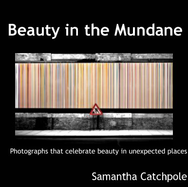 Beauty in the Mundane book cover