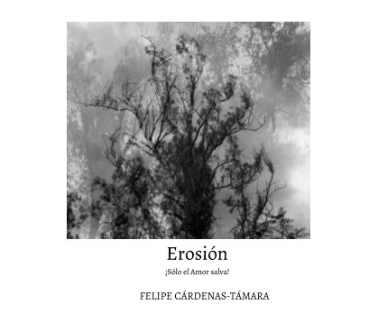 Erosión book cover