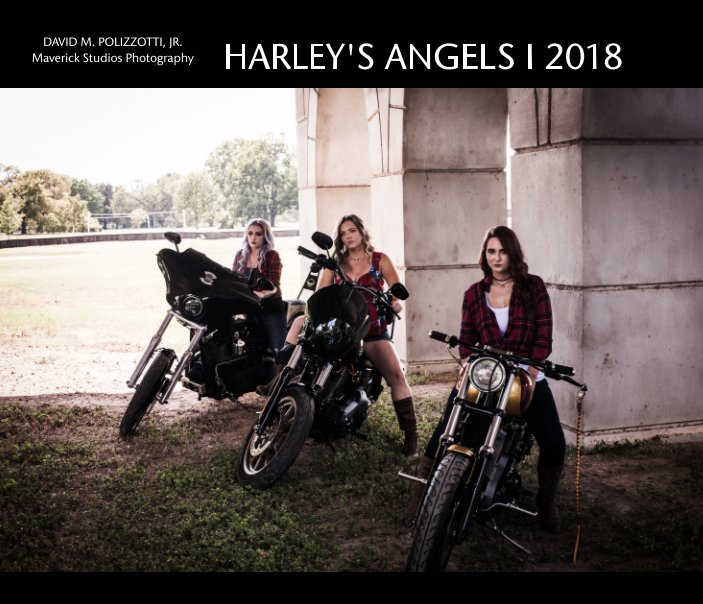 View Harley's Angels  I  2018 by David M. Polizzotti, Jr