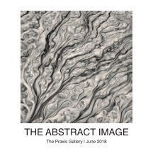 The Abstract Image book cover