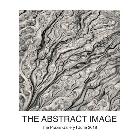 View The Abstract Image by The Praxis Gallery