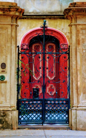 Ver Charleston Doors Journal por Ann Currie Williams