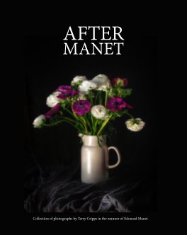 AfterManet book cover