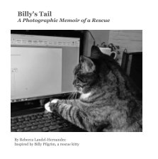 Billy's Tail: book cover