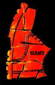 scrapz book cover