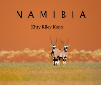 Namibia book cover