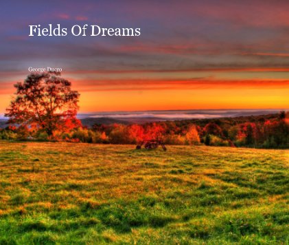 Fields Of Dreams book cover