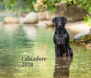 Labradore 2018 book cover