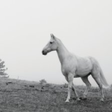 Equine Portraiture - Petite Volume One book cover