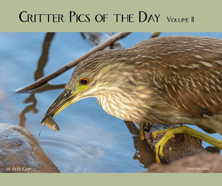 Bekijk Critter Pics of the Day op Alex Grim