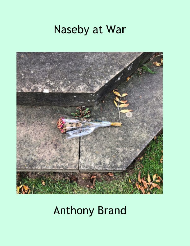 View Naseby at War by Anthony Brand