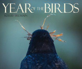 Year of the Bird book cover