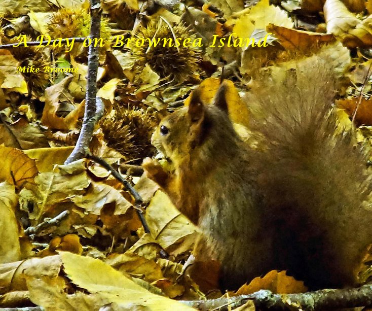 Ver A Day on Brownsea Island por Mike Broome