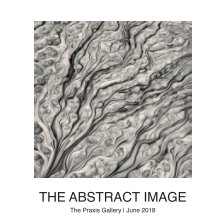 The Abstract Image book cover