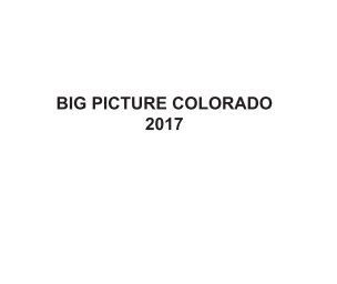 The Big Picture 2017 book cover