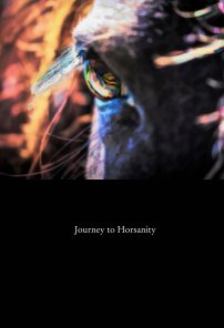 Journey to Horsanity book cover