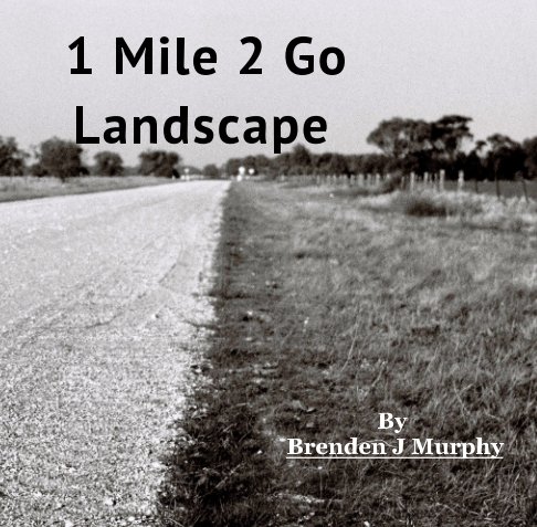 Bekijk 1 Mile 2 Go Landscape op Brenden J Murphy
