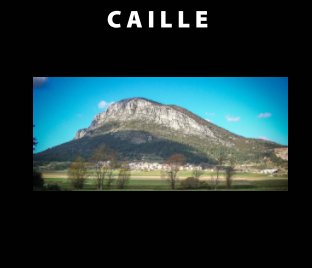 Caille book cover