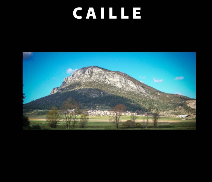 View Caille by vincent BELUFFI