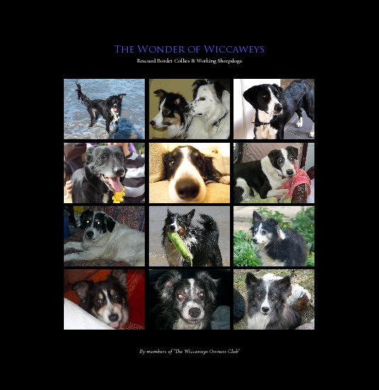 View The Wonder of Wiccaweys (Hardcover) by The Wiccaweys Owners Club