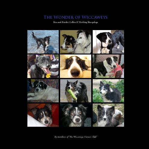 View The Wonder of Wiccaweys (Softcover) by The Wiccaweys Owners Club
