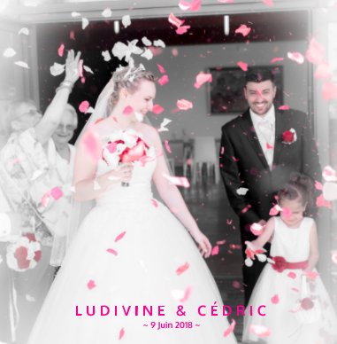 Mariage Ludivine - Cédric book cover