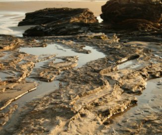 Through my  lense book cover