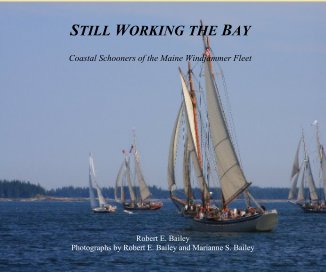STILL WORKING THE BAY book cover