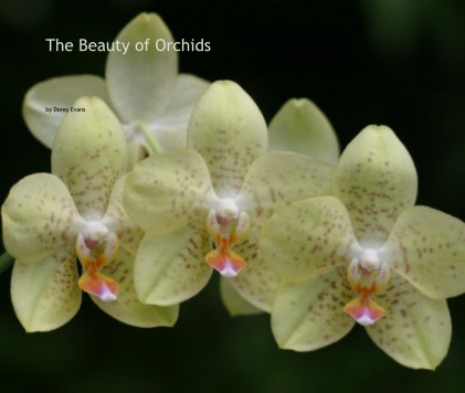 The Beauty of Orchids book cover