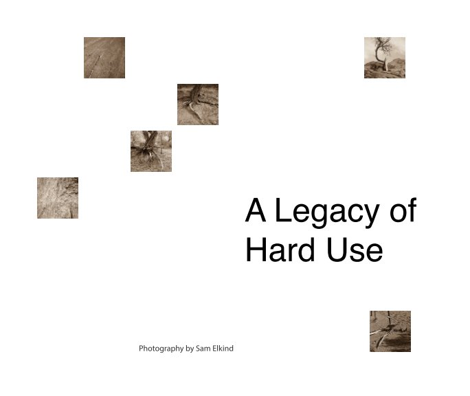 View A Legacy of Hard Use by Sam Elkind