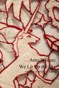 Amy Wilson: We Lit Up The Sky book cover