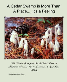 A Cedar Swamp Is More Than a Place....It's a Feeling book cover