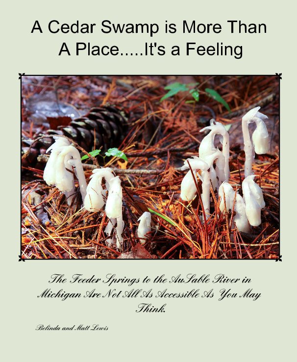 View A Cedar Swamp Is More Than a Place....It's a Feeling by Belinda and Matt Lewis