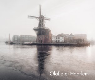 Olaf ziet Haarlem. book cover