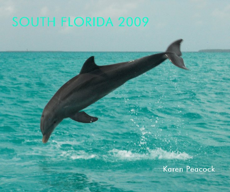 View South Florida 2009 by Karen Peacock