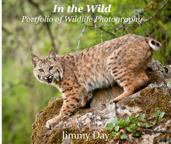 View In The Wild by Jimmy Day