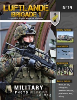 Luftlande Brigade 1 book cover