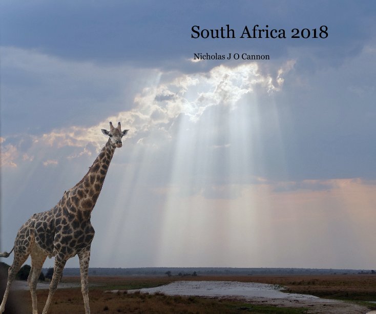 View South Africa 2018 by Nicholas J O Cannon