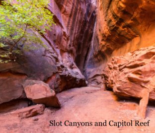 Slot Canyons and Capitol Reef book cover