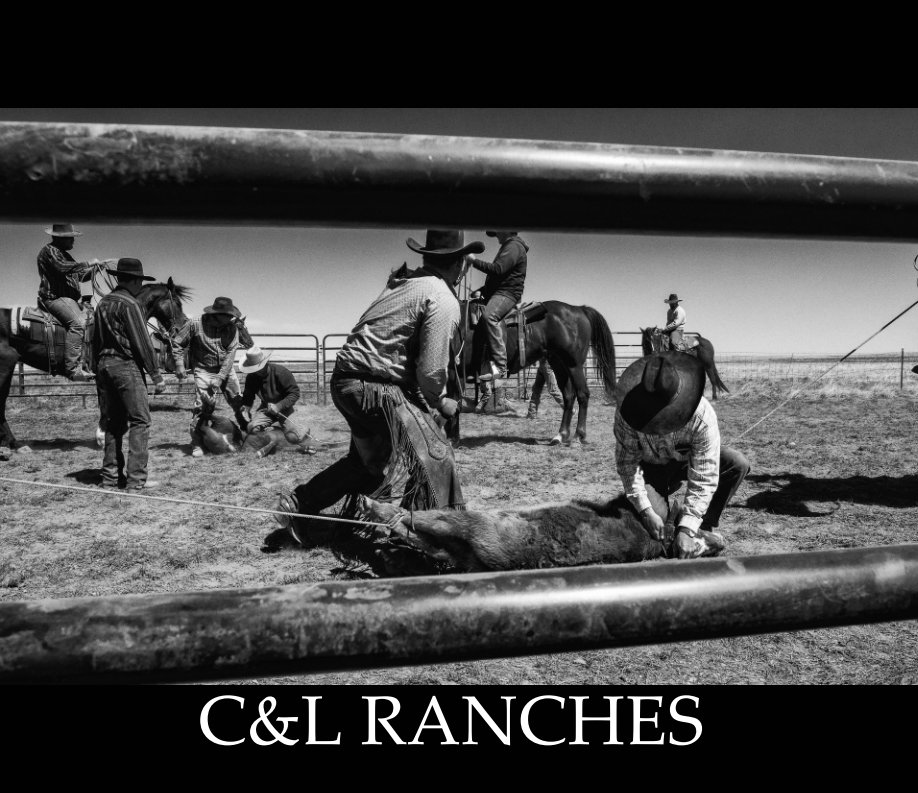 Visualizza C and L Ranches Large di Sara Chamberlin