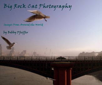 Big Rock Cat Photography book cover