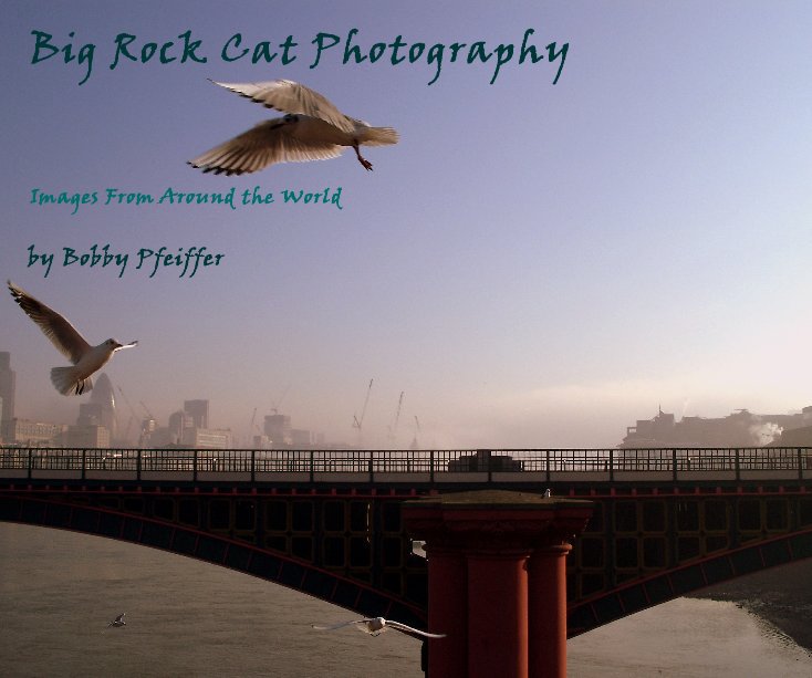 View Big Rock Cat Photography by Bobby Pfeiffer