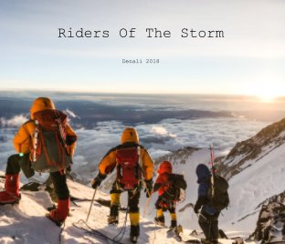 Riders Of The Storm book cover